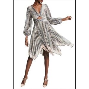 Zimmermann Dress